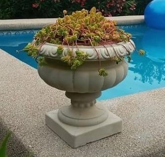Macetero clásico con pedestal