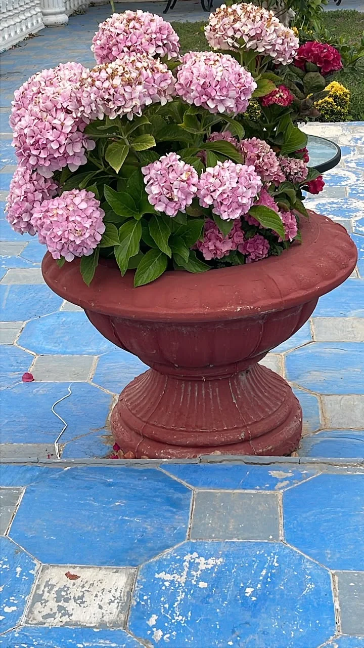 Macetero con pedestal en tono rojo
