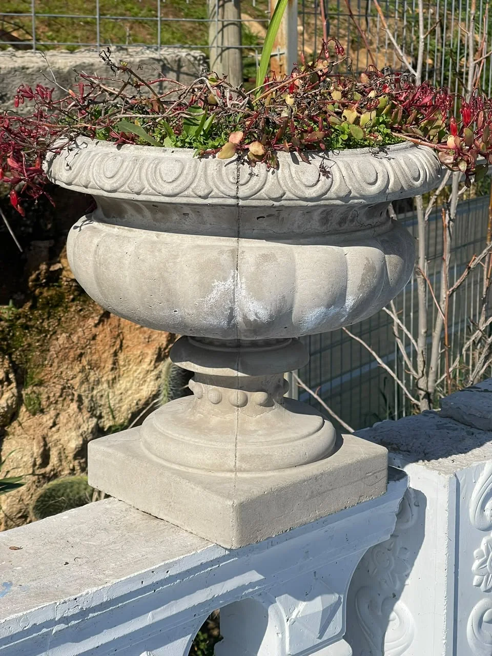 Macetero clásico con borde ornamental